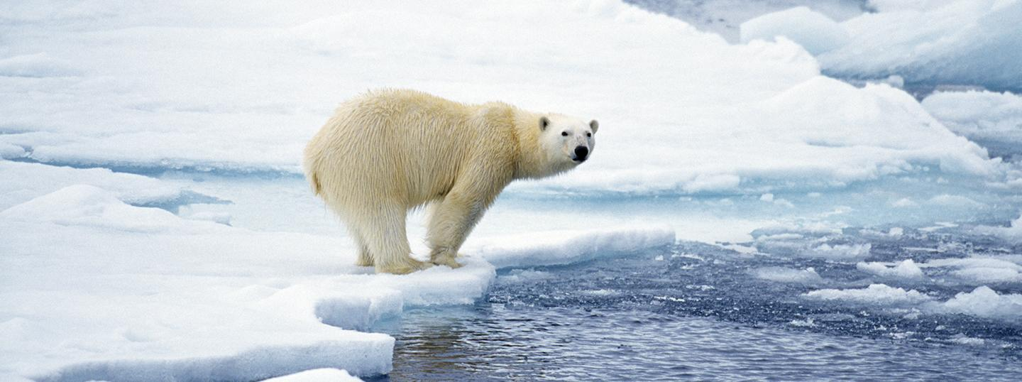 TL_20240125_Climate change disclosures
