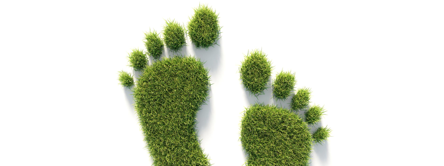 TL_20240327_Thrive by
