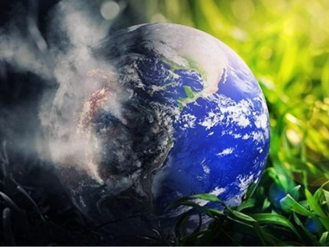 TL_20230618_Carbon offsets