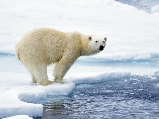 TL_20240125_Climate change disclosures