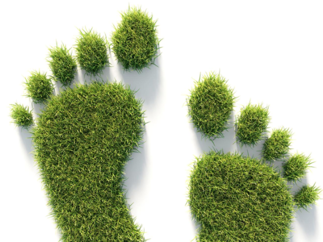 TL_20240327_Thrive by