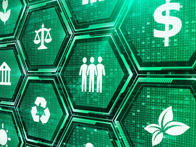 Building a high-impact ESG system