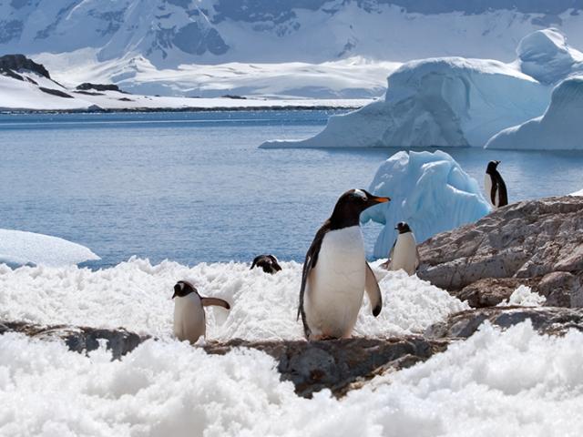 Building a sustainability community